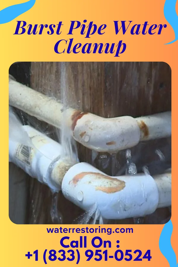 Burst Pipe Water Cleanup in Ocean View, DE