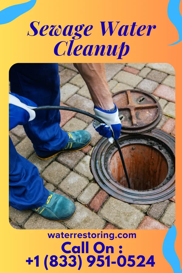 Sewage Water Cleanup in Ocean View, DE