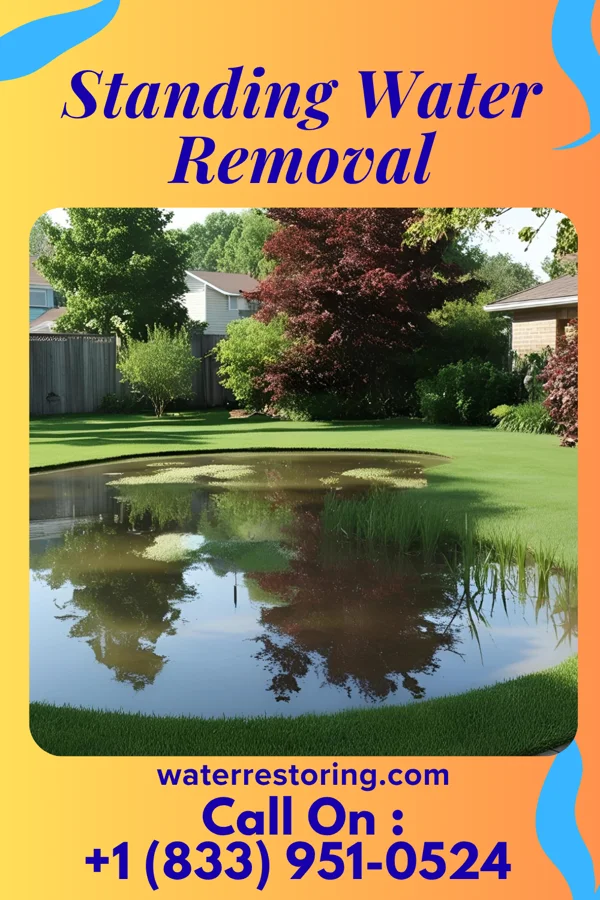 Standing Water Removal in Ocean View, DE